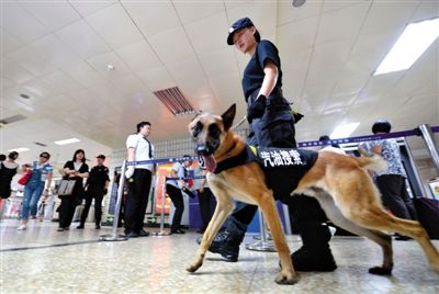 地鐵王府井站搜汽油警犬在安檢口巡邏。新京報記者 王貴彬 攝