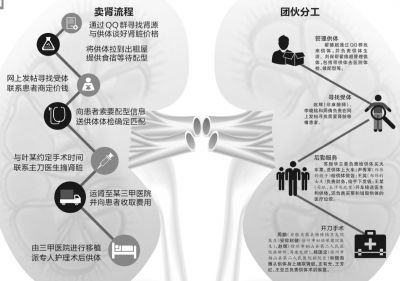 販腎51枚涉案超千萬15人獲刑