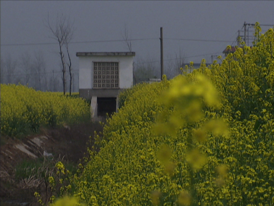 2012年新修建的水渠一點(diǎn)水都沒(méi)有讓村民們十分失望