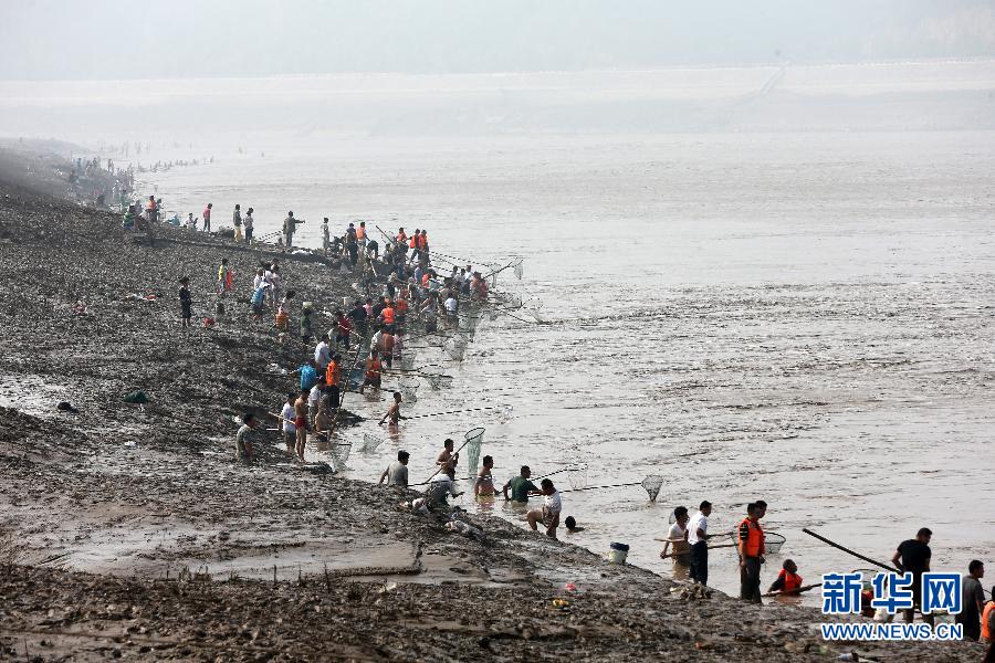 7月6日,在山西省平陸縣黃河岸邊,人們?cè)诤舆叢稉泣S河“流魚(yú)”。