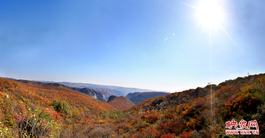 山頂遠眺，紅葉已經(jīng)綻放出絢麗的色彩