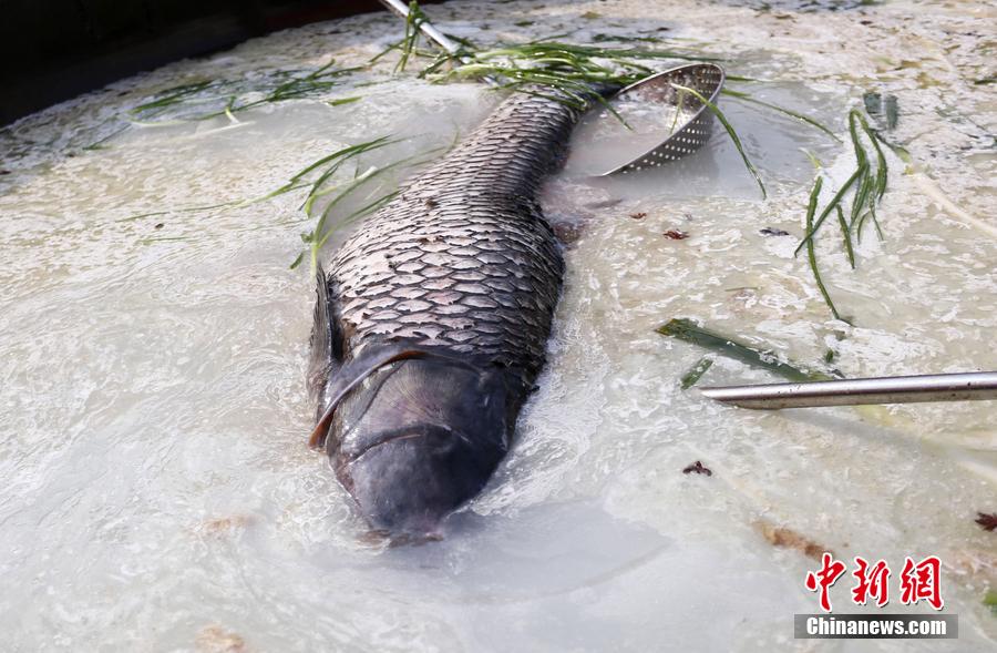 “魚王”在3米大鍋內(nèi)烹飪。 圖片來源：CFP視覺中國