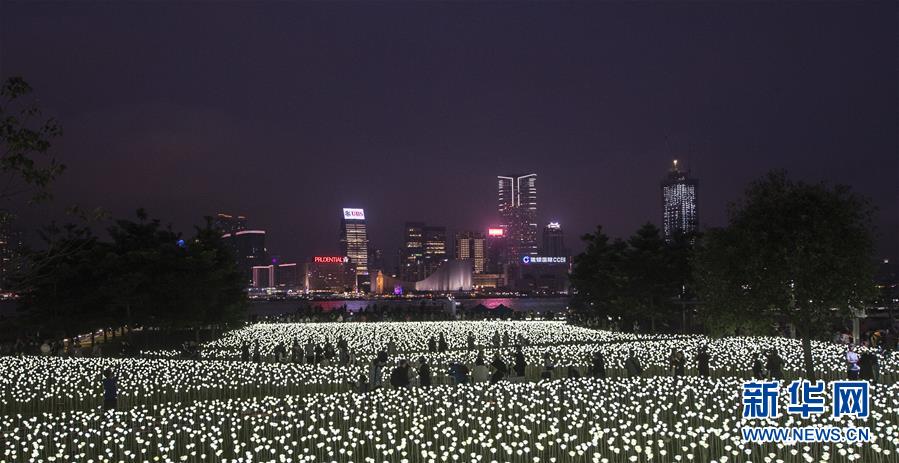 （晚報(bào)）（1）香港玫瑰燈海點(diǎn)亮維港