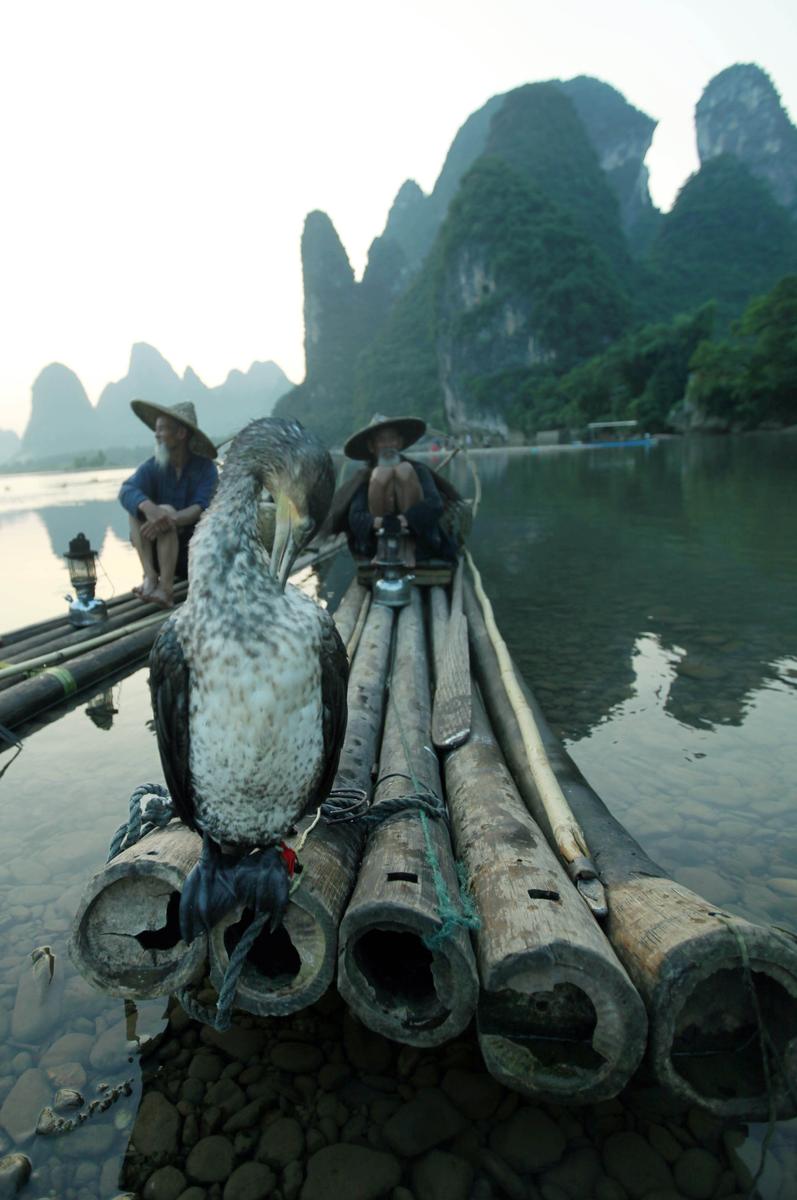 桂林八旬“漁翁兄弟”供人拍照走紅 美奐似大片