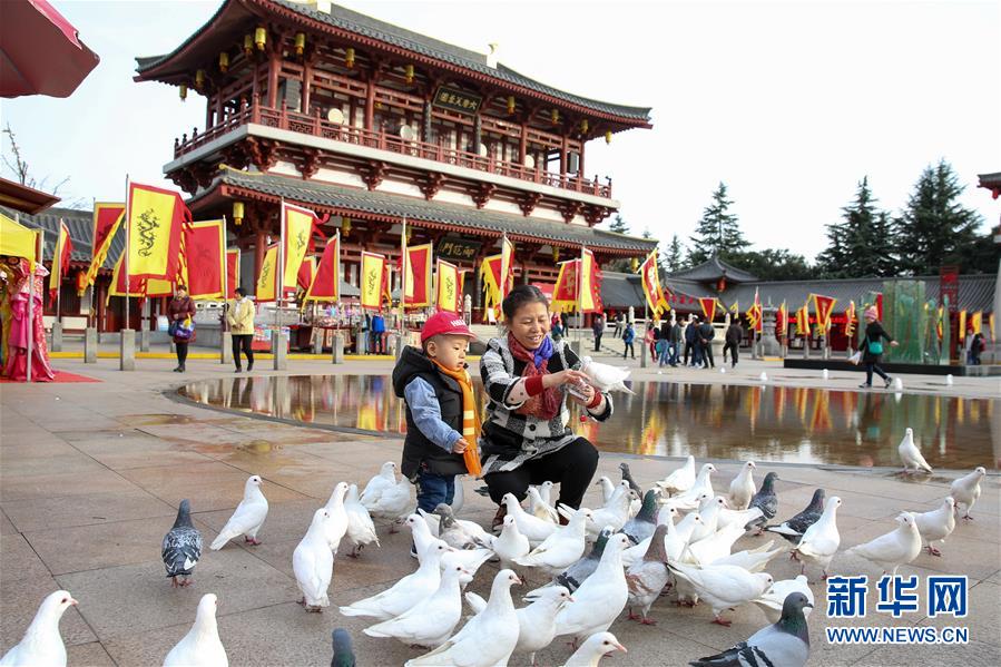 （社會(huì)）（9）西成高鐵連起川陜“后花園”