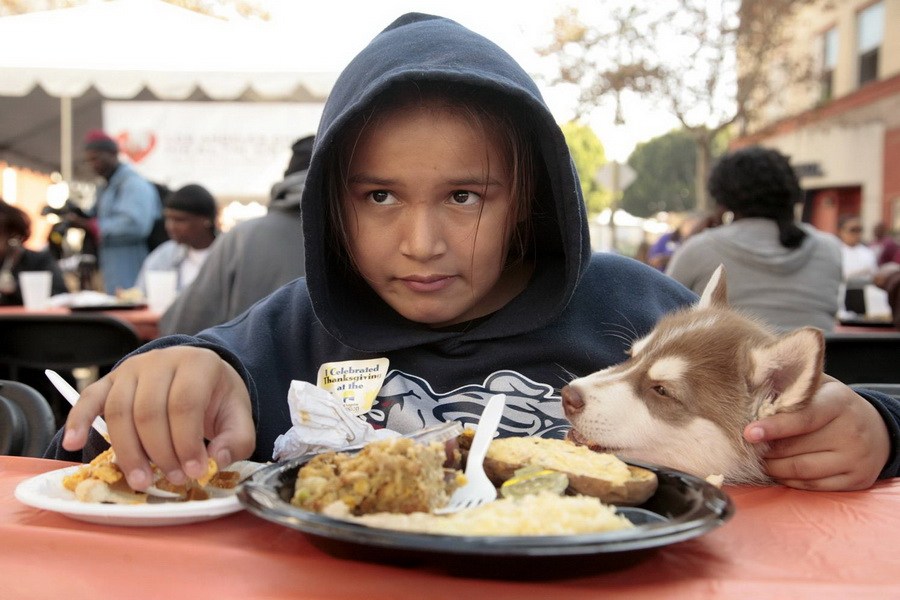 11月21日，加州洛杉磯的游民巷，12歲的堂娜·赫南德茲抱著愛犬“湯米”，安靜地吃著免費的感恩節(jié)飯菜