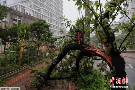 臺(tái)風(fēng)“浣熊”登陸日本破壞力大 已致至少2人死