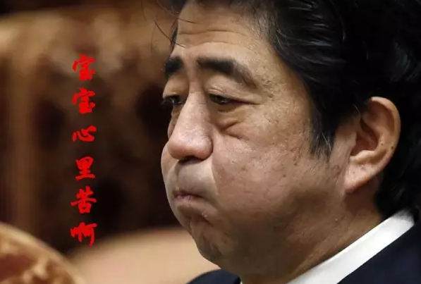 這種看安倍“熱鬧”的事兒，環(huán)環(huán)絕不私藏，一定雨露均沾!