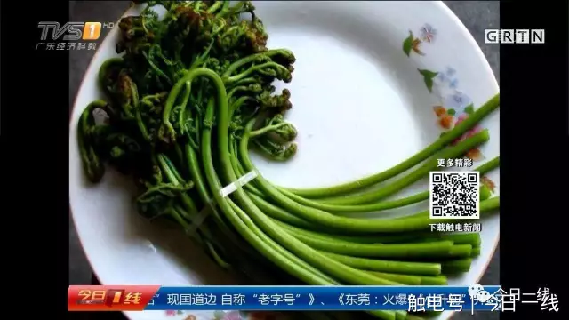 一家三口餐館吃了頓飯 卻全部洗胃被下病危通知書