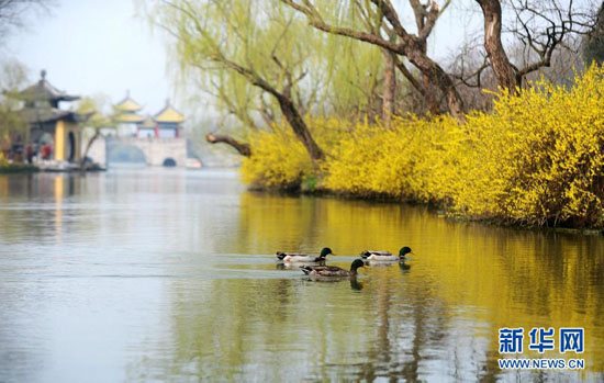 青奧會(huì)指定接待景區(qū) 五大特色景區(qū)開啟青奧之旅