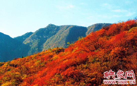 嵩山紅葉:中原第一紅葉 金秋游覽休閑最強攻略