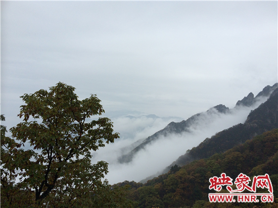 全景欒川·大美老君山 攝影大展頒獎(jiǎng)典禮冒雨舉辦