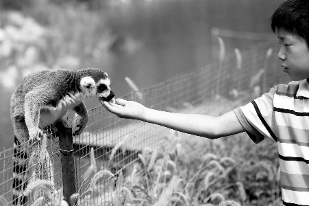 豫學(xué)生拿高考準(zhǔn)考證半價游動物園