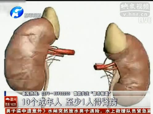 10個成年人 至少1人得腎病