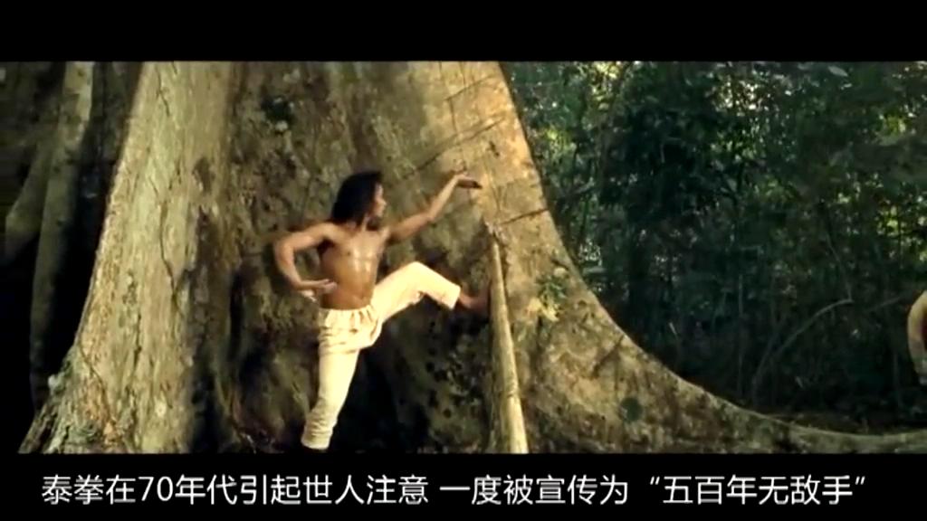 決斗殺破狼 武術(shù)VS泰拳