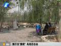 鄭州動(dòng)物園鴿子關(guān)“禁閉” 鳥苑仍自由