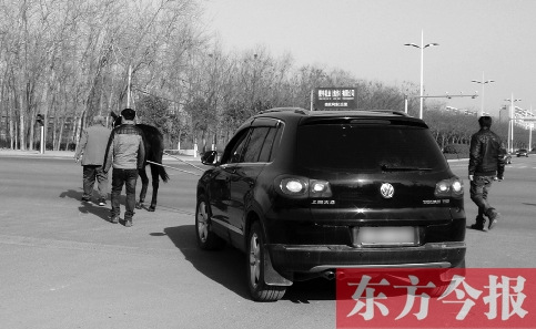 大眾越野車被指剎車不靈險釀車禍