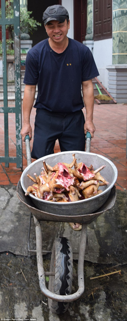 越南貓肉餐廳：將貓淹死、剝皮、切成小塊，再油炸