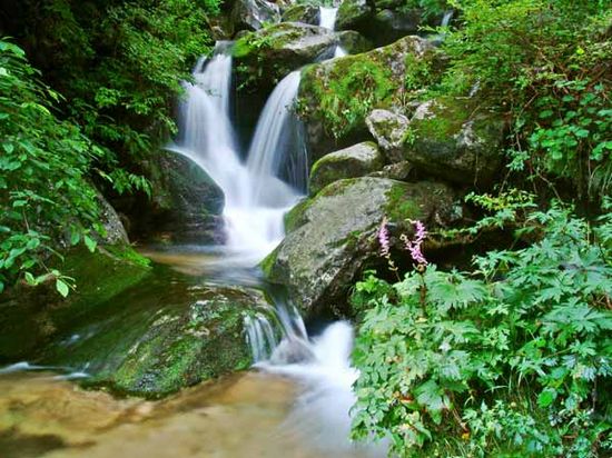 全國大學(xué)生記者旅游體驗(yàn)季8月25日在欒川縣舉行